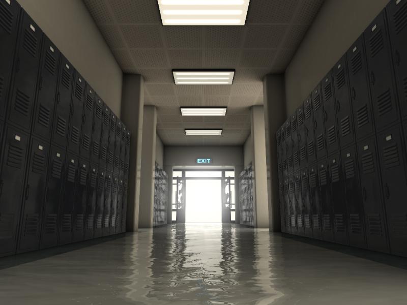 Can I Get School Cleaning & Disinfection in Livonia, MI?
