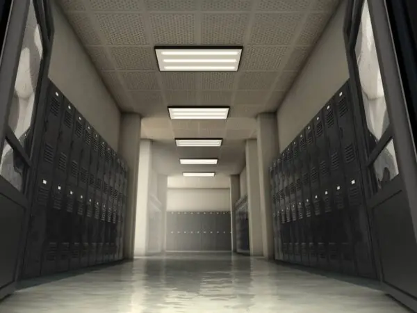 Blog 9 Can Professional School Cleaning Improve Student Focus?